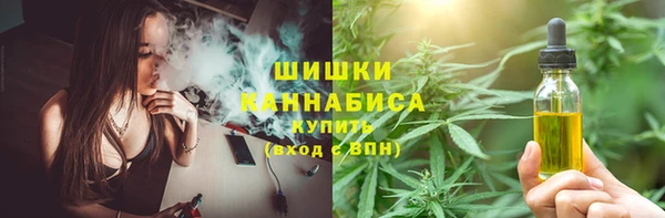 твердый Аркадак