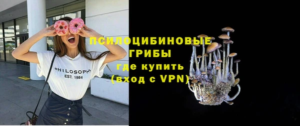 твердый Аркадак