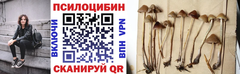 Галлюциногенные грибы ЛСД  купить наркоту  Байкальск 